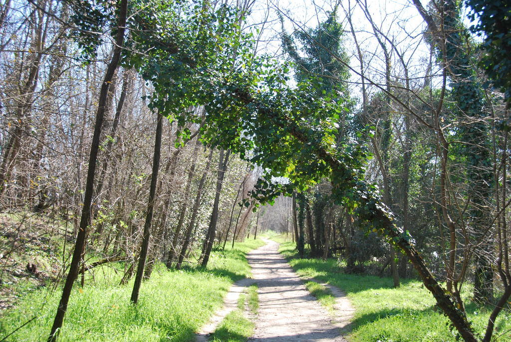 B&B Percorso Verde Ponte Valleceppi Bagian luar foto